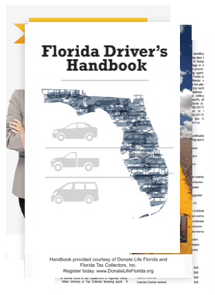 Florida Driver S License Eye Chart